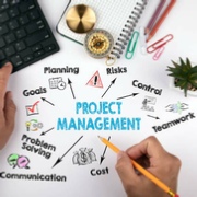 Project Mgt